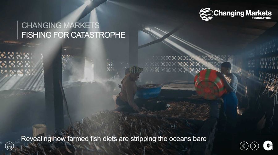 Emerging markets environmental campaign
