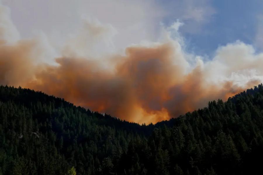 What do rising temperatures really mean for us and the planet? Image shows a forested valley and burnt orange clouds on the horizon.
