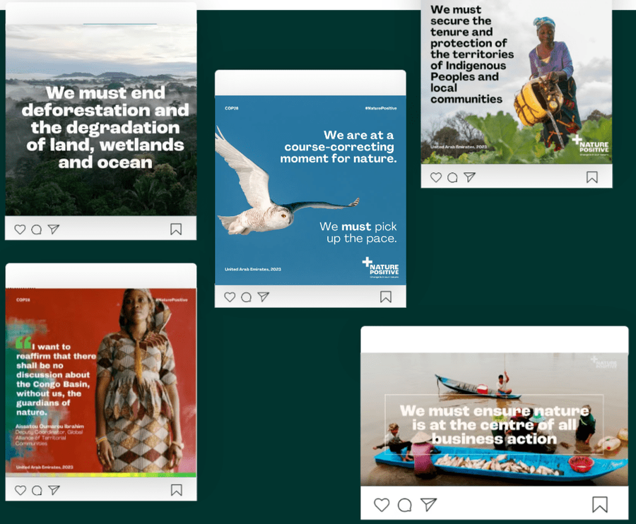 Social media assets created for Nature Positive