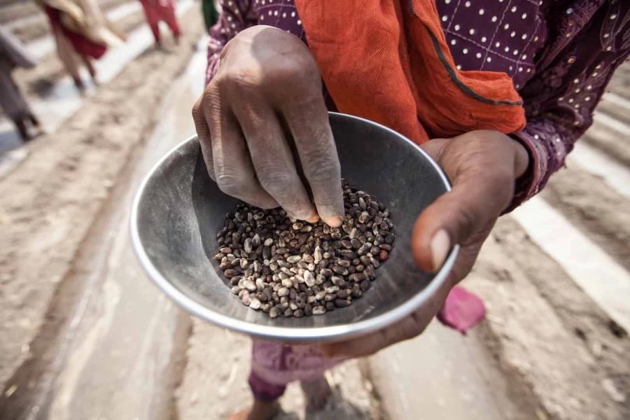 Better Cotton Commodities