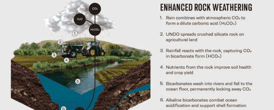 Infographic of the enhanced rock weathering process.