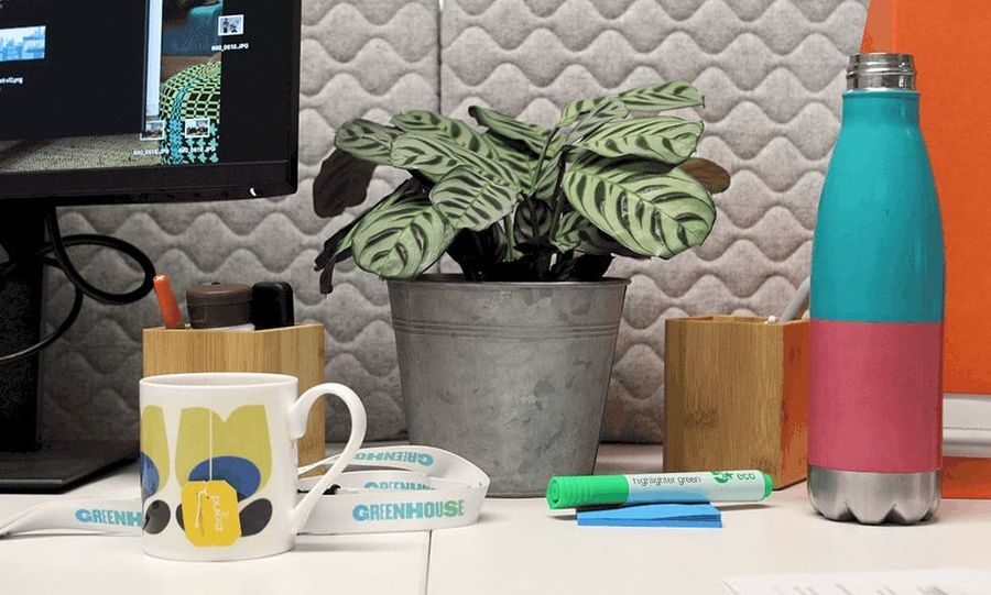 Greenhouse sustainable office 4