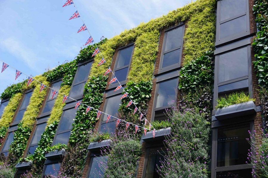 green wall