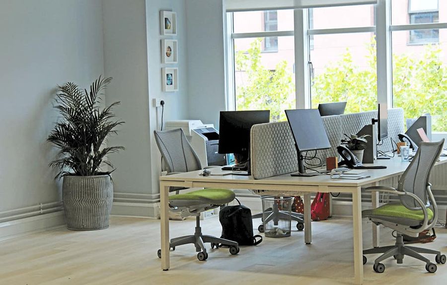 Greenhouse sustainable office 03