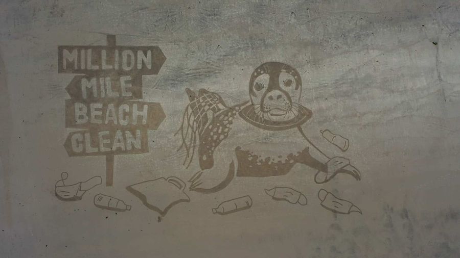 Aerial photo of a seal drawn in the sand and a sign that says "Million mile beach clean"