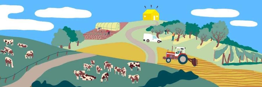 Food Assembly