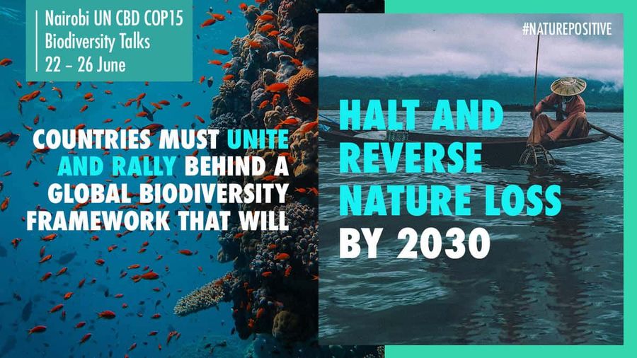 Nature-positive campaign banner