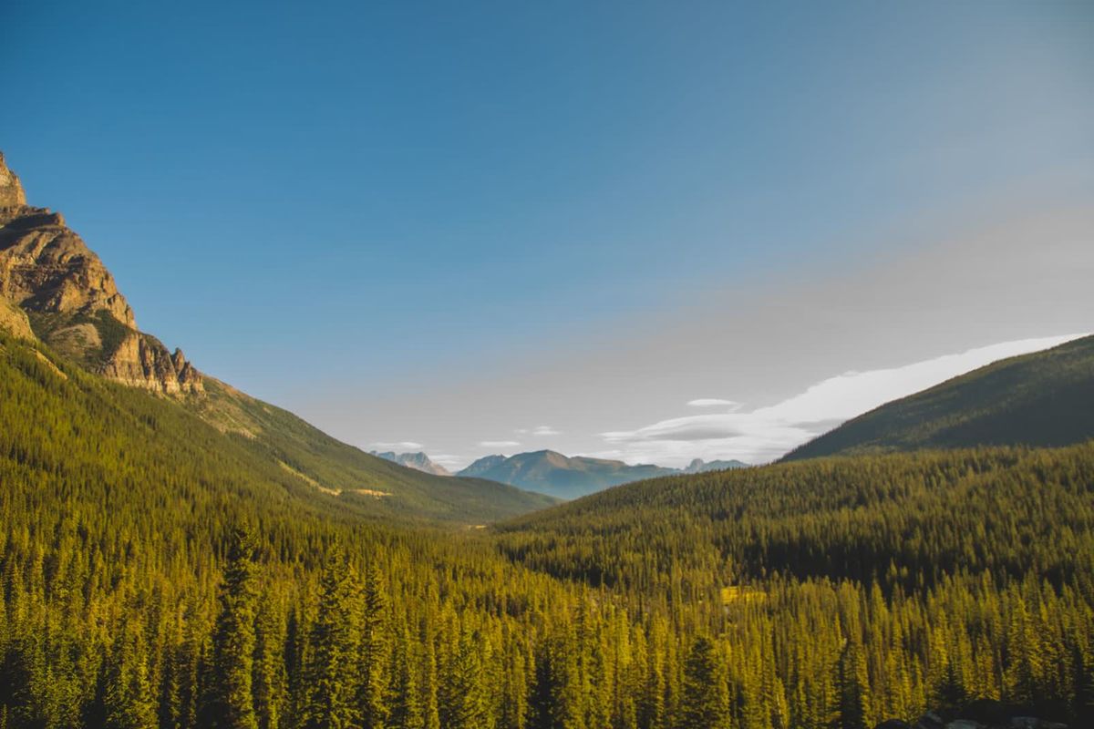 Mountain landscape covered in evergreen forest beneath a blue sky.