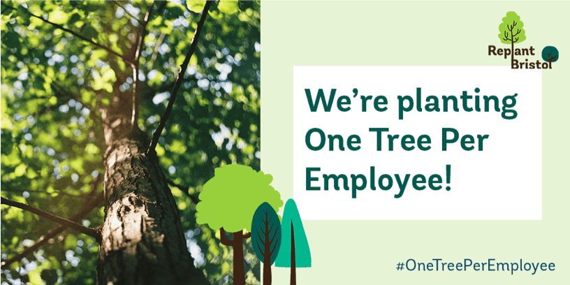 Replant bristol one tree per employee