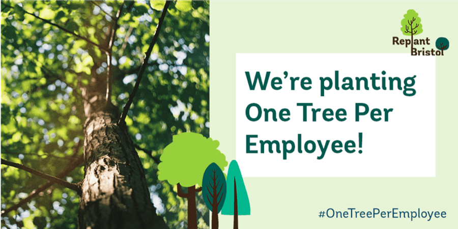 Replant bristol one tree per employee
