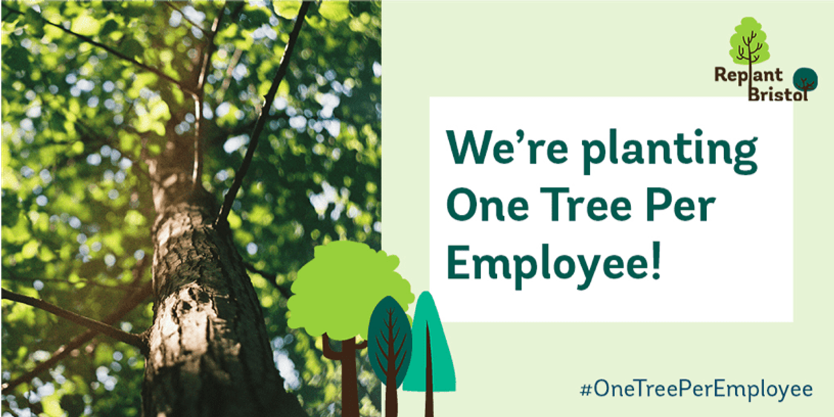 Replant bristol one tree per employee