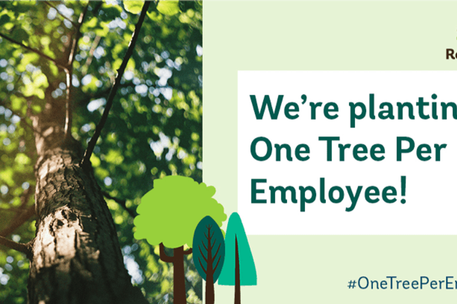 Replant bristol one tree per employee