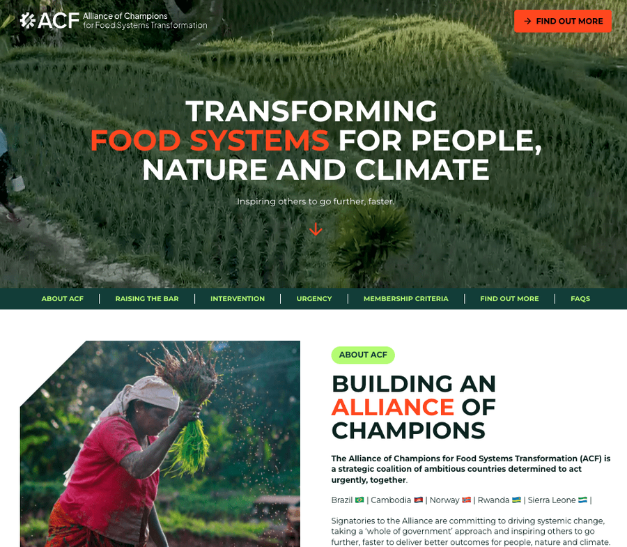 screenshot of the ACF website