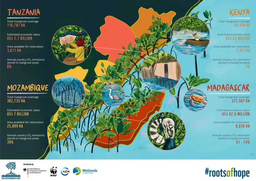 Global Wetland Targets in Tanzania, Mozambique, Madagascar, and Kenya