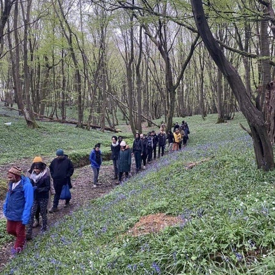 People from diverse ethnic backgrounds going for a walk in the forest