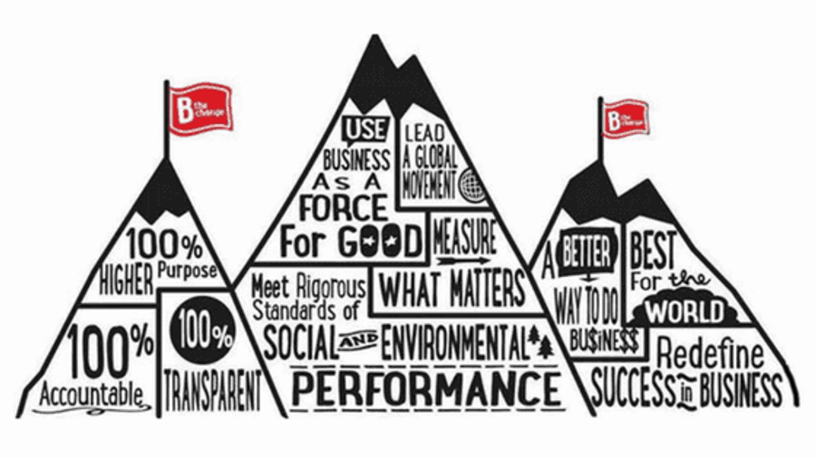 B Corp