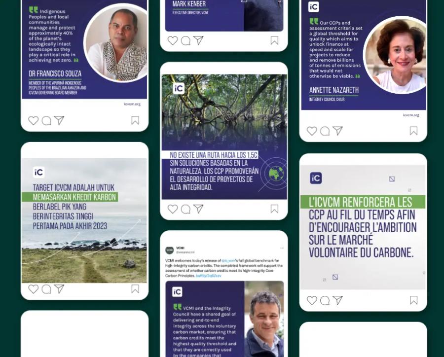 The Integrity Council for the Voluntary Carbon Market Social Media Assets