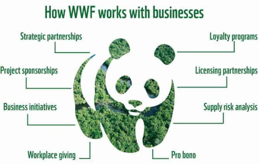 mc_working_with_business_graph_668x407