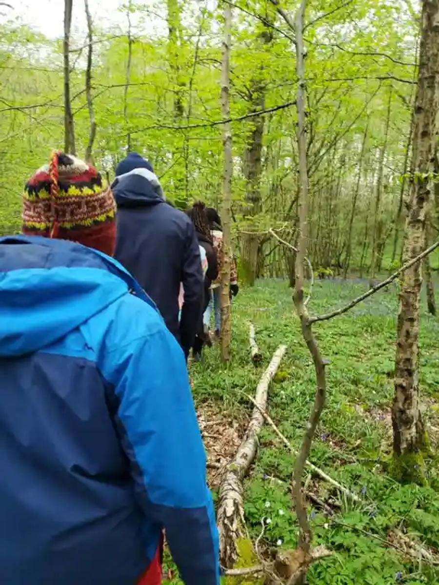 People going for a walk in a forest