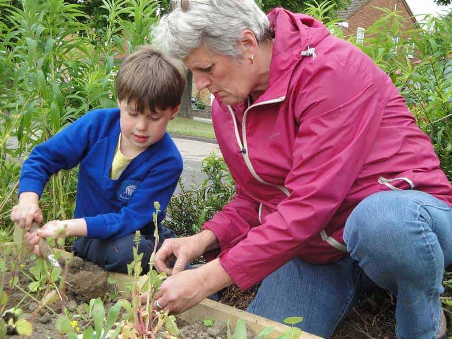 incredible edible
