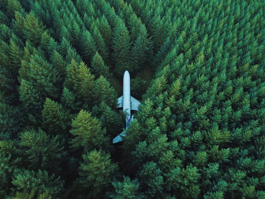 Airplane flight free green pr company environmental pr forest