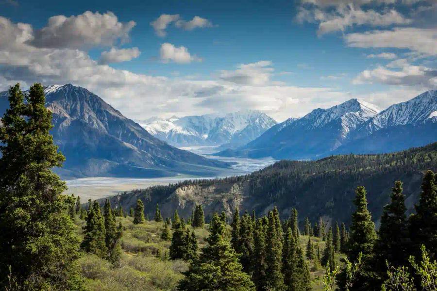 Landscape of Mountains and forestry