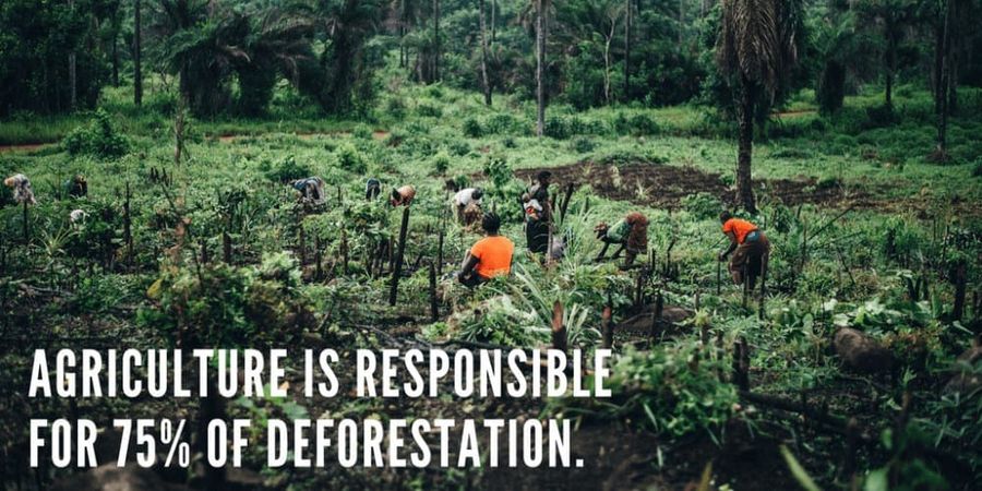 smallholder farmers global food system