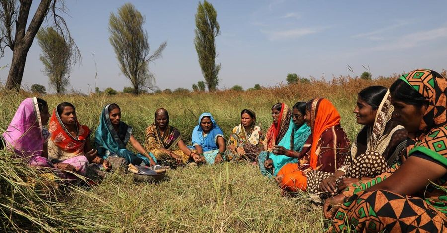 South asian women sitting in semicircle in field wearing brightly colours saris