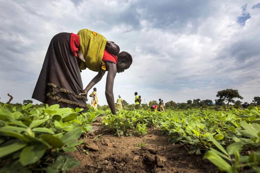 Woman working in a field