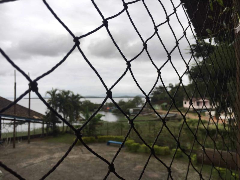 Picture of chain link wire fence