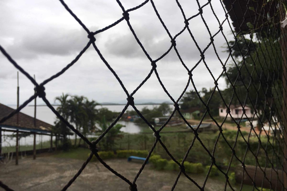 Picture of chain link wire fence