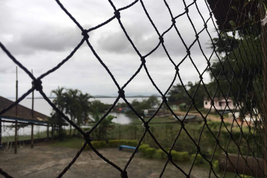 Picture of chain link wire fence