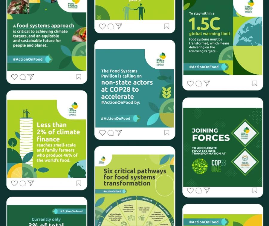 Preview of the social assets designed for the Food Systems Pavilion