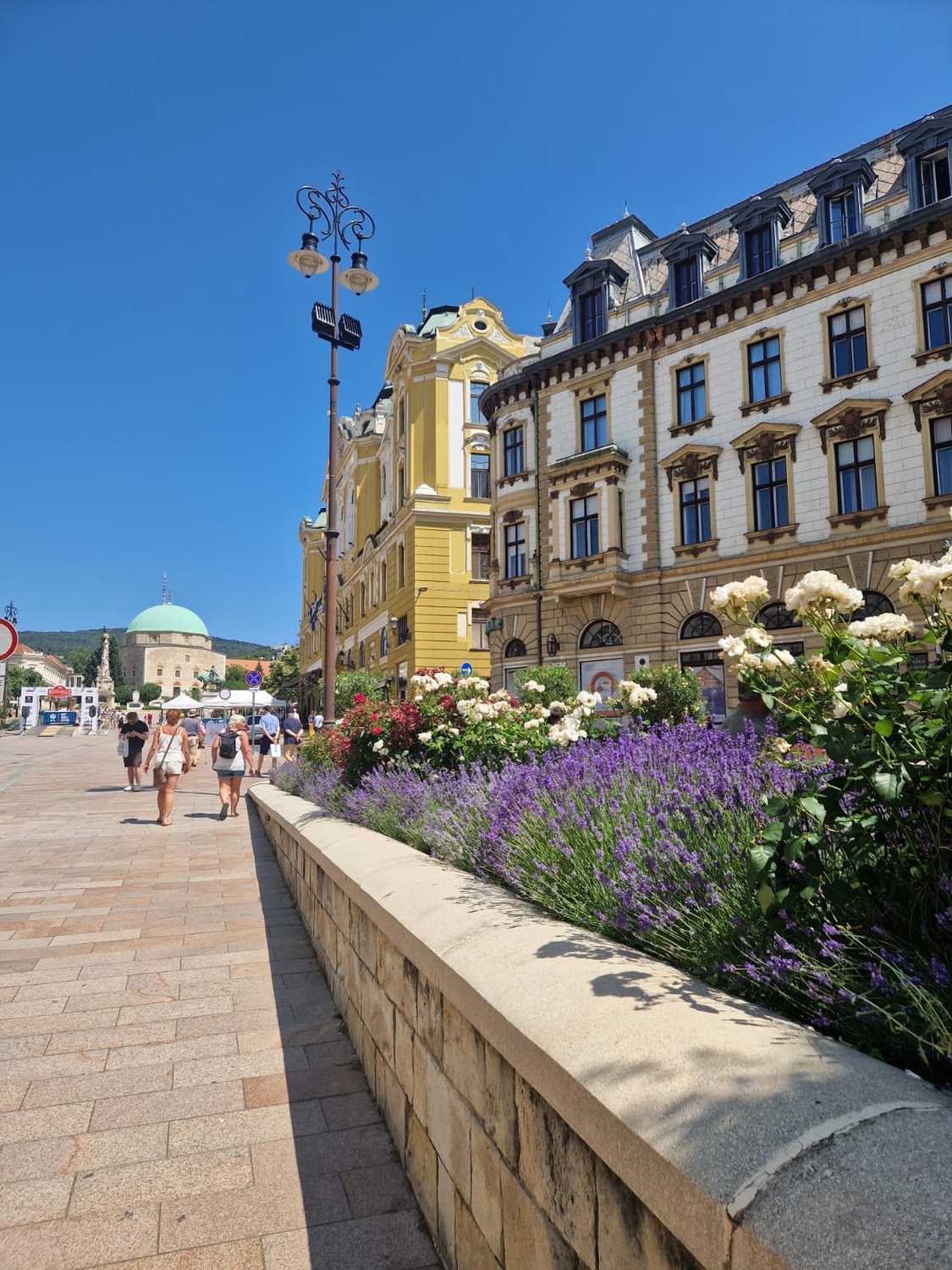 gallerij foto