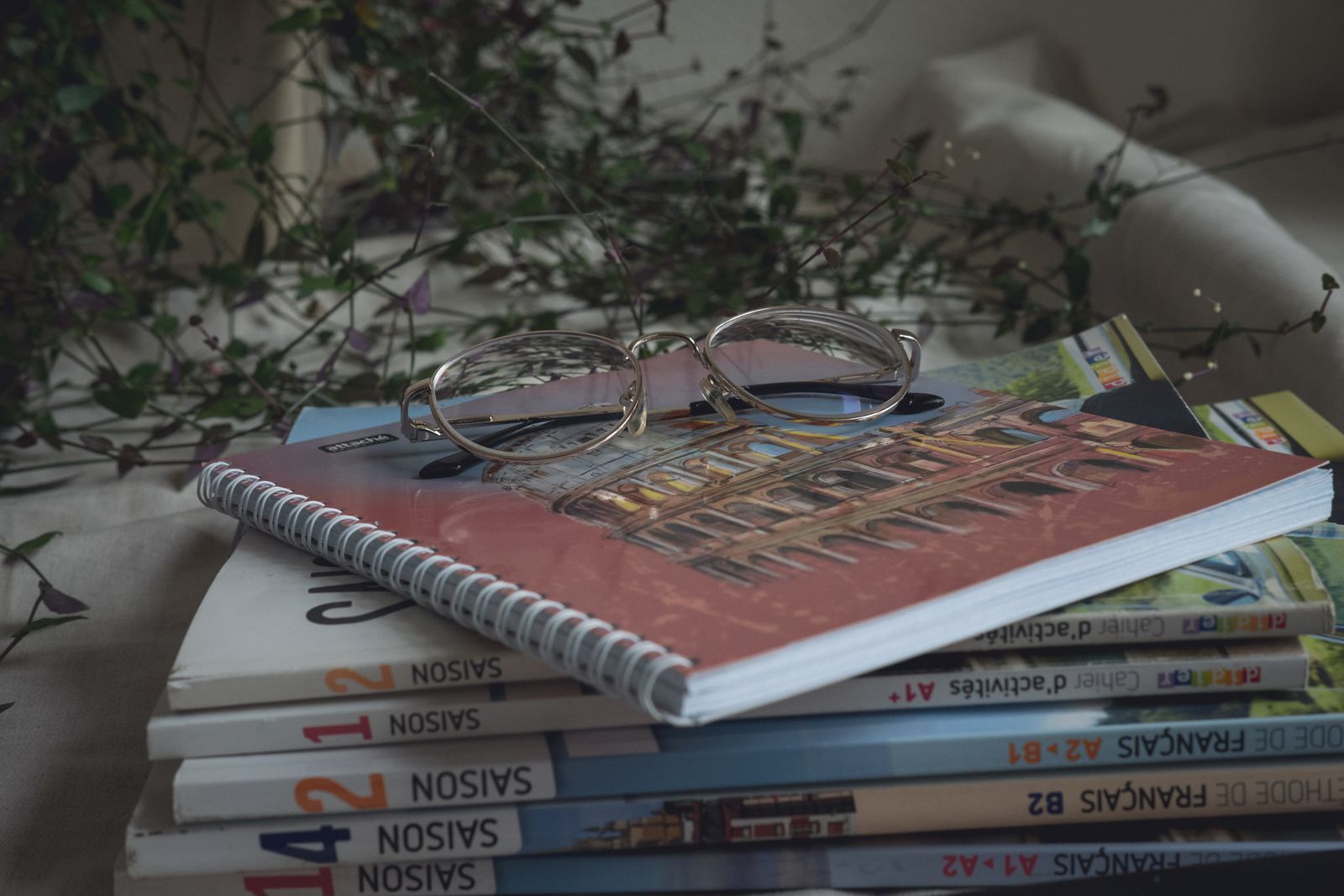 B1 French Level: What It Means and What You Can Actually Say