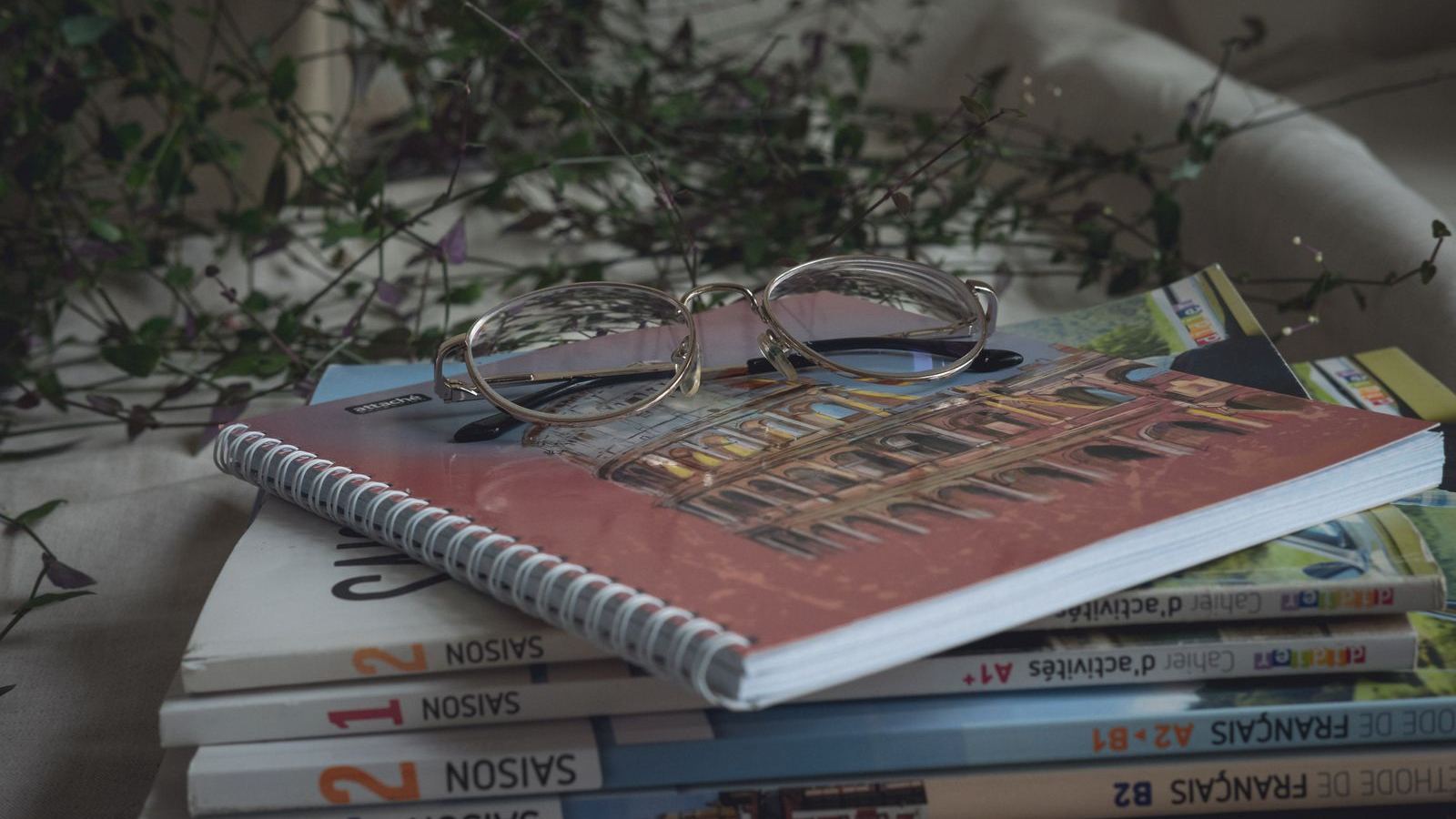 B1 French Level: What It Means and What You Can Actually Say