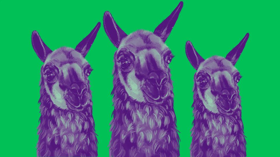 Llama-4 Landed with a Thud—Here's Why That Matters