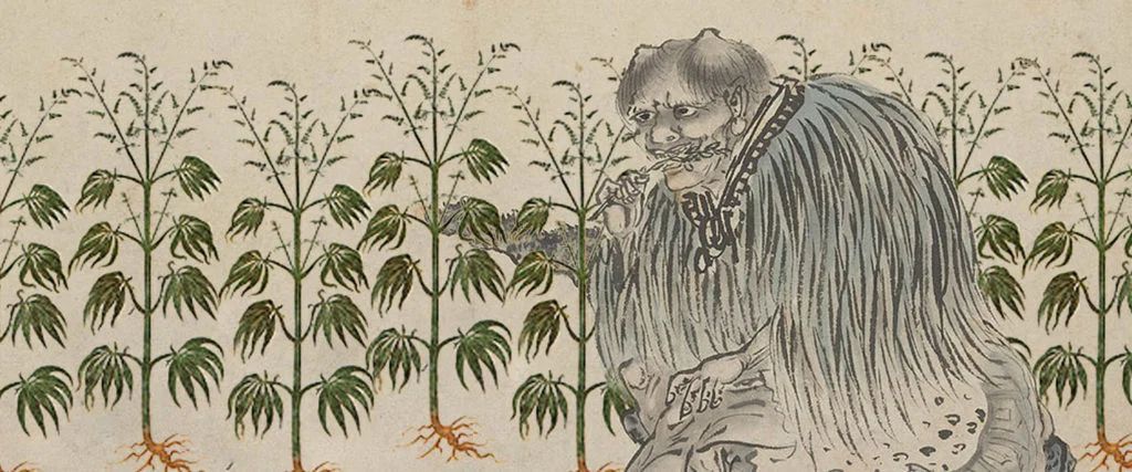 Colagem de fazendeiro divino Chinês cuidando de plantas