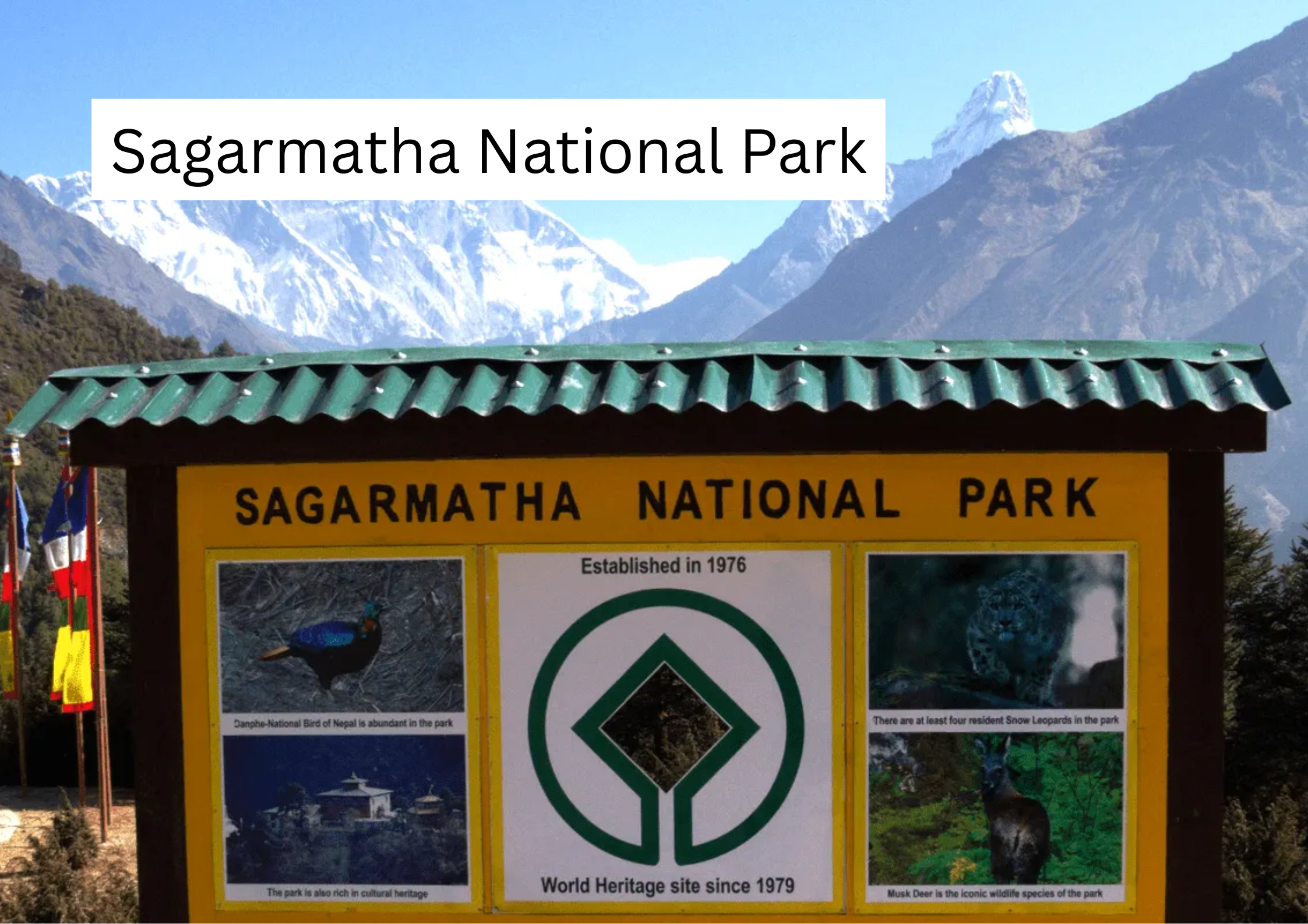 Sagarmatha National Park Museum in Namche Bazaar, Nepal, showcasing the history, culture, and biodiversity of the Everest region.
