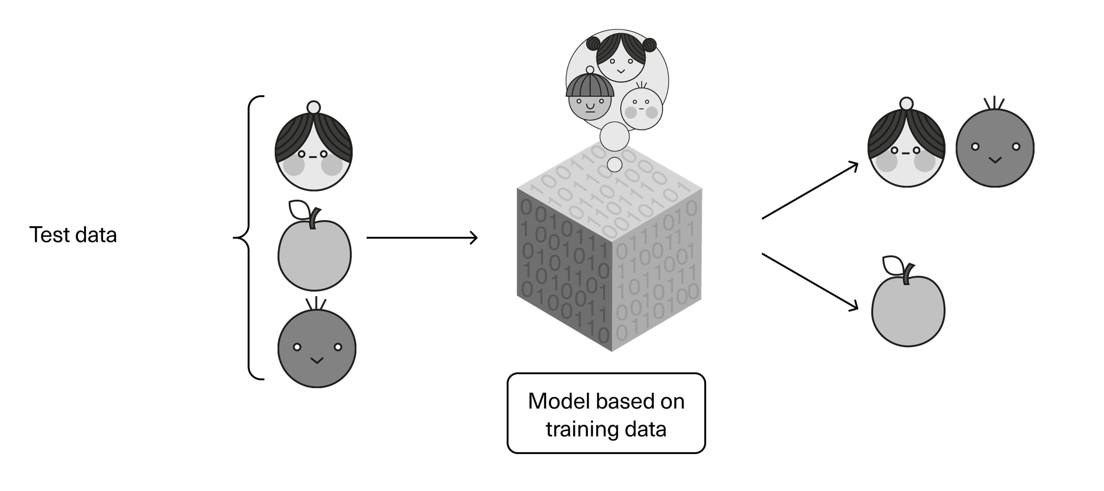 Test data goes in, and then the model gives us an answer about what is what, based on the model