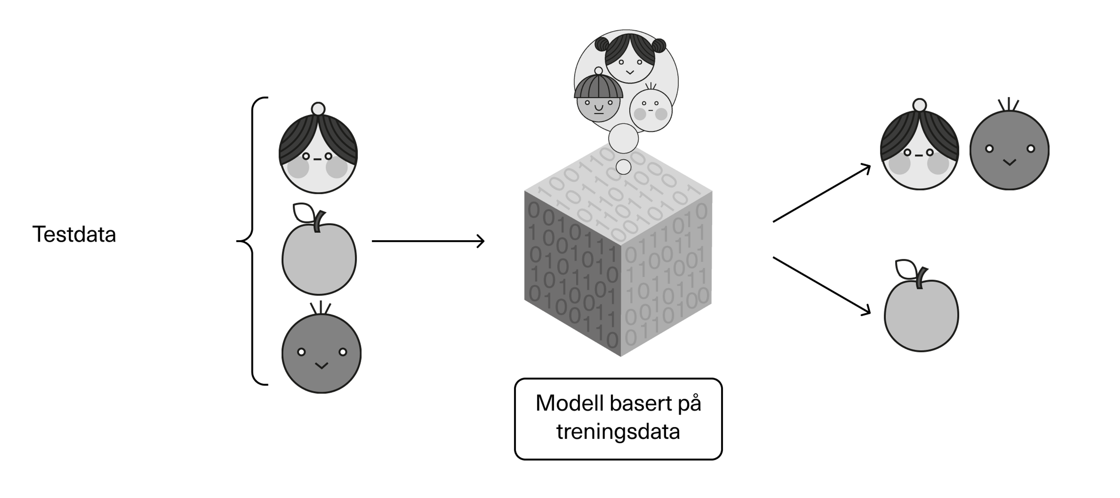 Testdata går inn, så gir modellen oss et svar på hva som er hva, basert på modellen