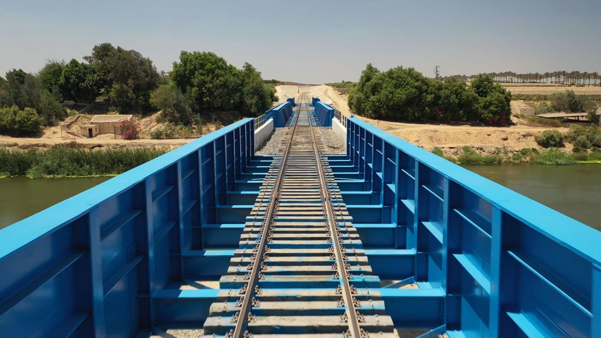 ازدواج عدلي منصور / الروبيكي
