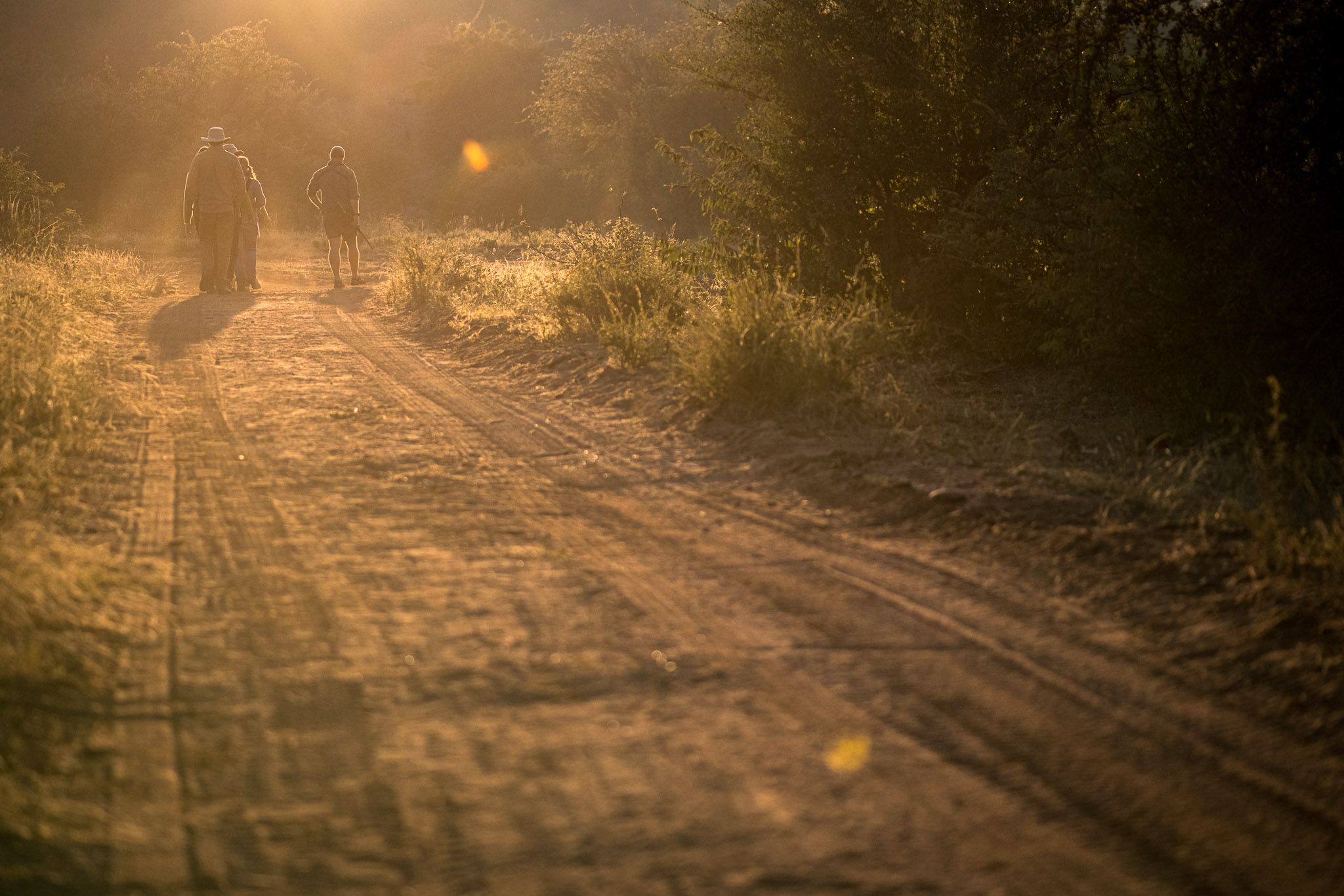 sunset walking safari in the bushveld