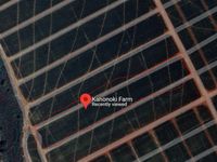  2-Acre Land for Sale | Kahonoki Farm Thika | KES 8M - Image 3