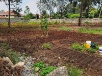🏫 INVESTMENT OPPORTUNITY | ESTABLISHED SCHOOL FOR SALE – THOME ESTATE, NAIROBI - Image 13