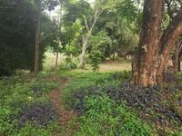 1ACRE PRIME LAND FOR SALE | OLD MUTHAIGA, NAIROBI 🏡 - Image 4