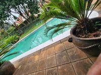 Rustic Four-Bedroom Family Home with Guest Wing — Karbasiran Road, Lavington - Image 10