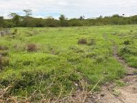  Plots for Sale in Kitengela — Wood Park Safari GardensFor Sale | KSh 2,500,000 Per Plot | 36 Plots Available | Kimalat, Kitengela - Image 1