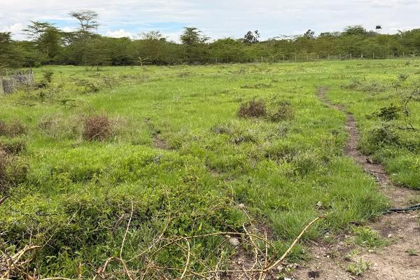  Plots for Sale in Kitengela — Wood Park Safari GardensFor Sale | KSh 2,500,000 Per Plot | 36 Plots Available | Kimalat, Kitengela