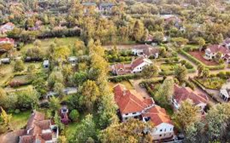 HARDY | KAREN'S QUIET PREMIUM NEIGHBOUR